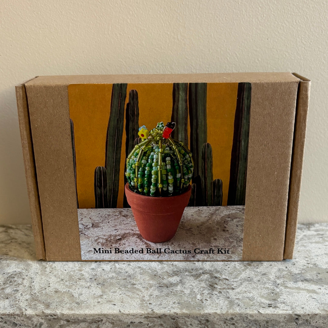 Beaded cactus craft kit contents with beads, wire and instructions