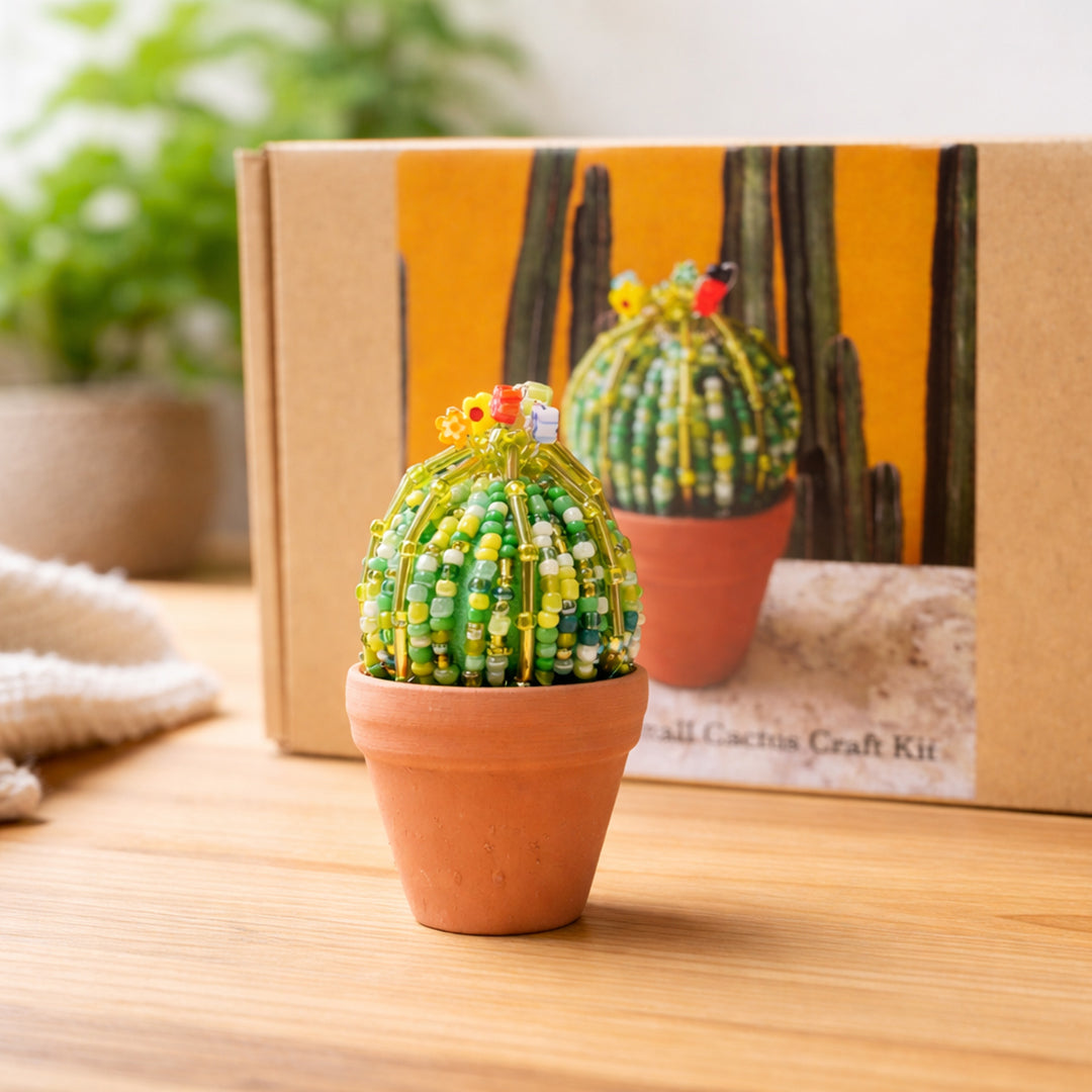 DIY Beaded Ball Cactus Kit with terracotta pot - with online workshop option.