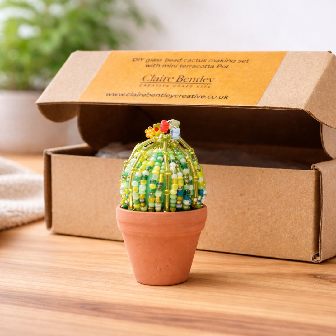 DIY Beaded Ball Cactus Kit with terracotta pot - with online workshop option.