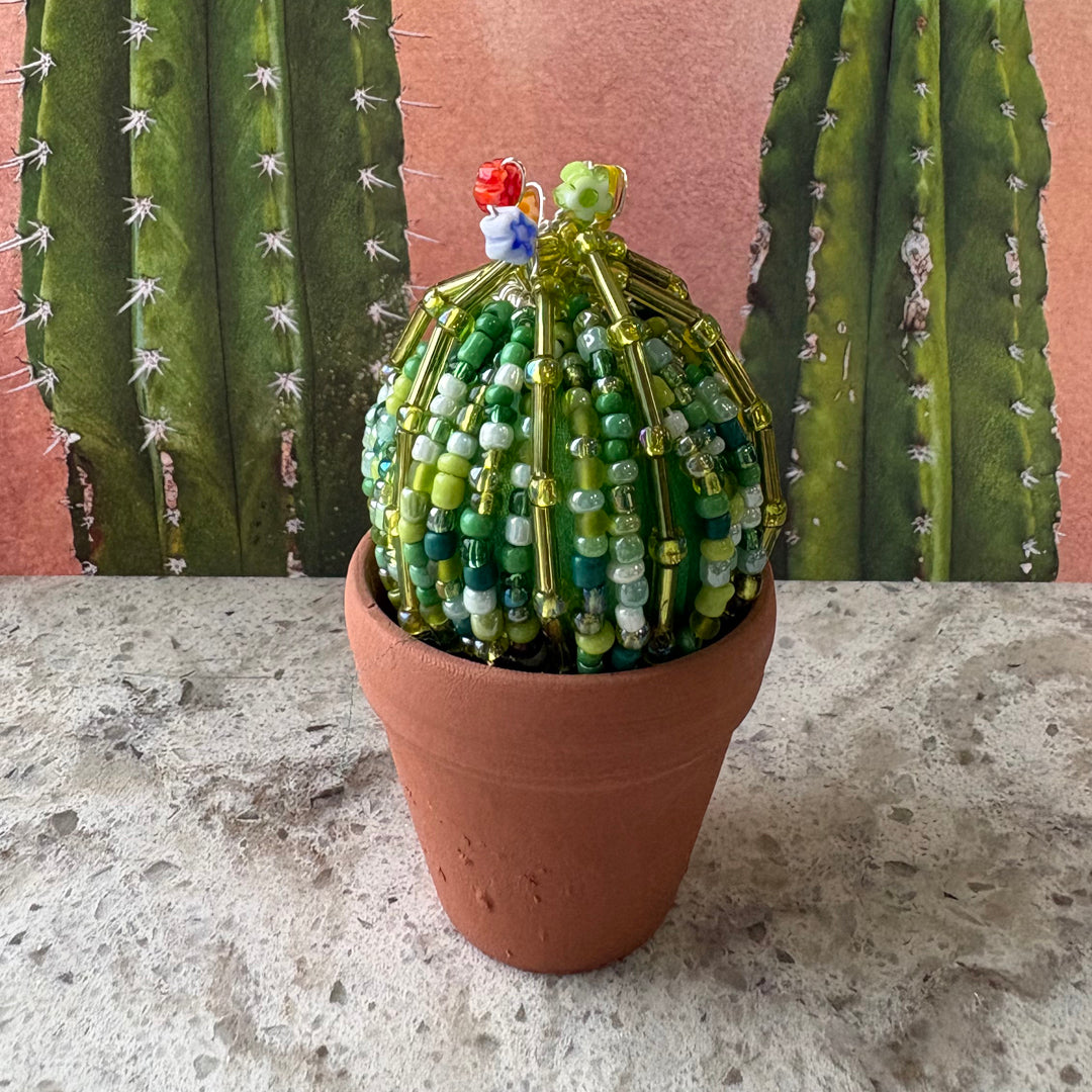 DIY Beaded Ball Cactus Kit with terracotta pot - with online workshop option.