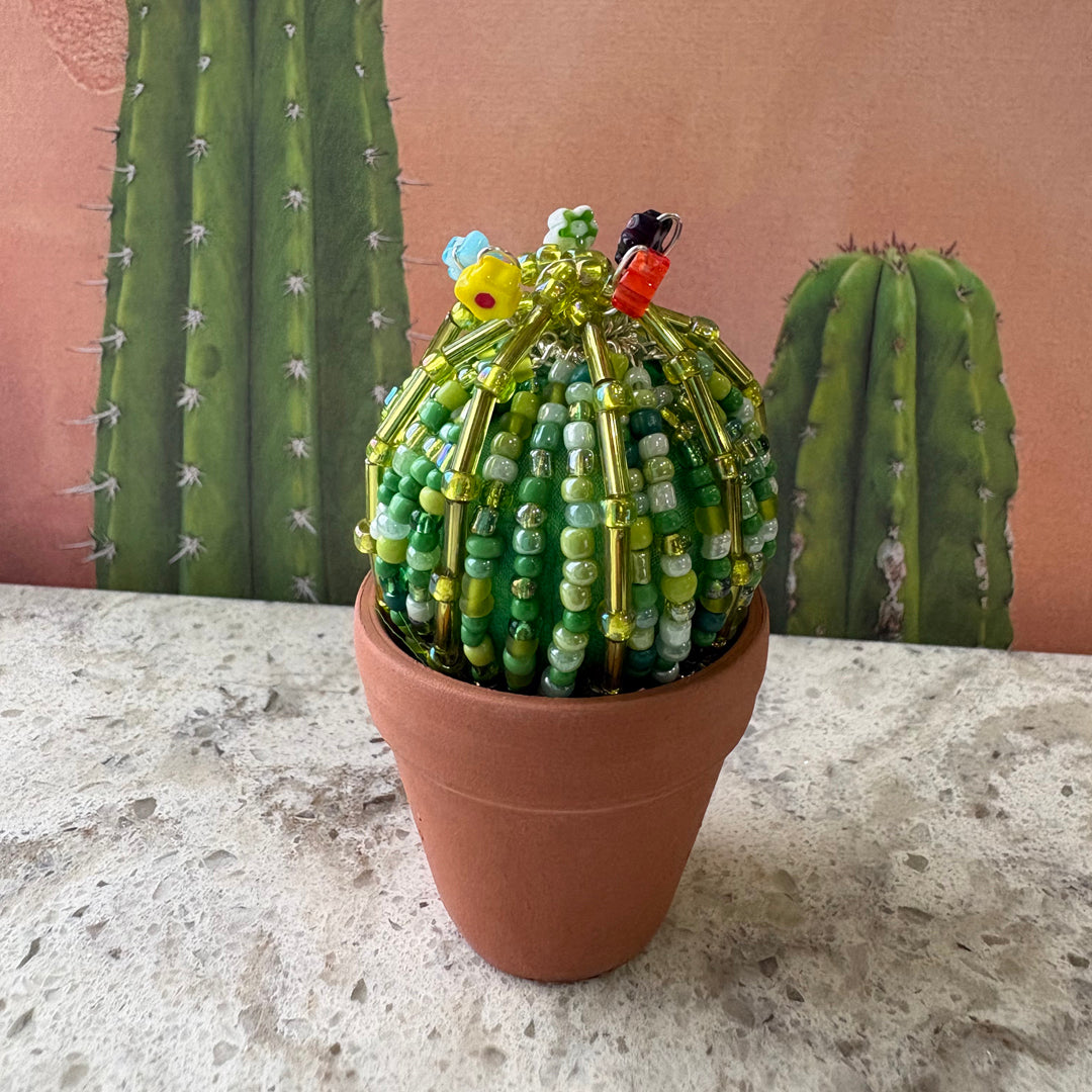 DIY Beaded Ball Cactus Kit with terracotta pot - with online workshop option.
