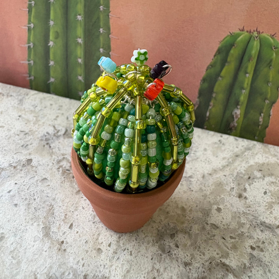 DIY Beaded Ball Cactus Kit with terracotta pot - with online workshop option.