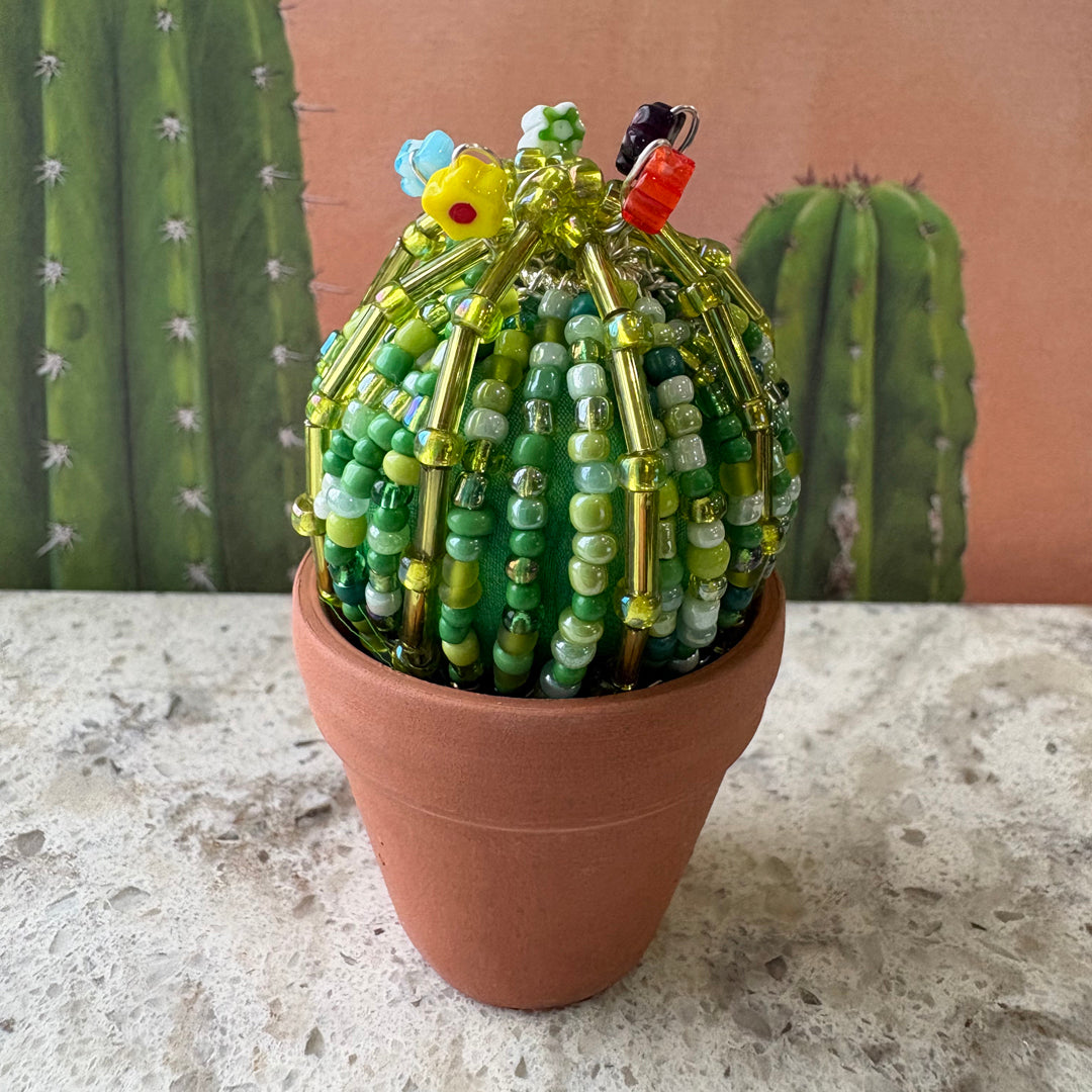 DIY Beaded Ball Cactus Kit with terracotta pot - with online workshop option.