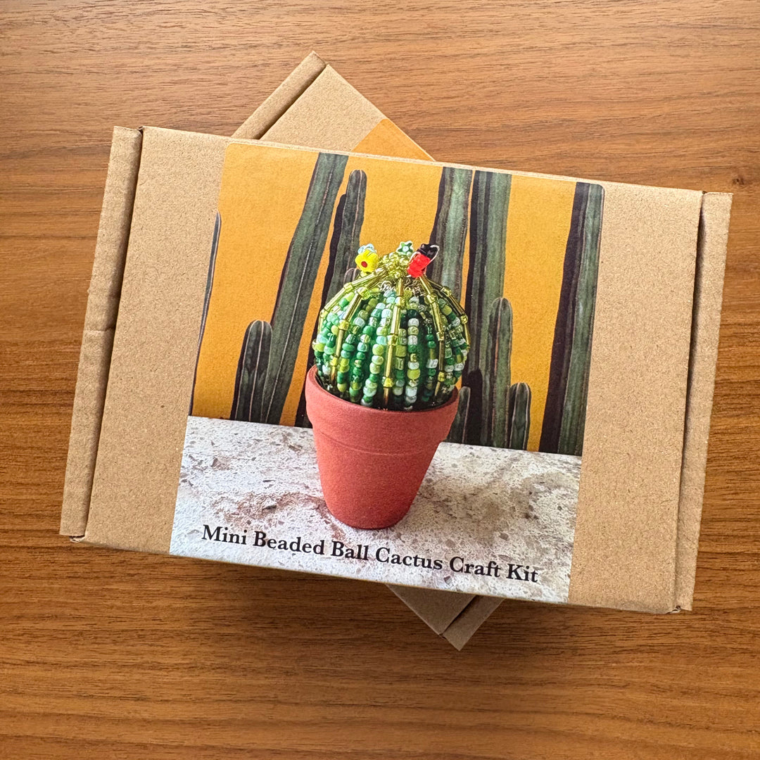 DIY Beaded Ball Cactus Kit with terracotta pot - with online workshop option.