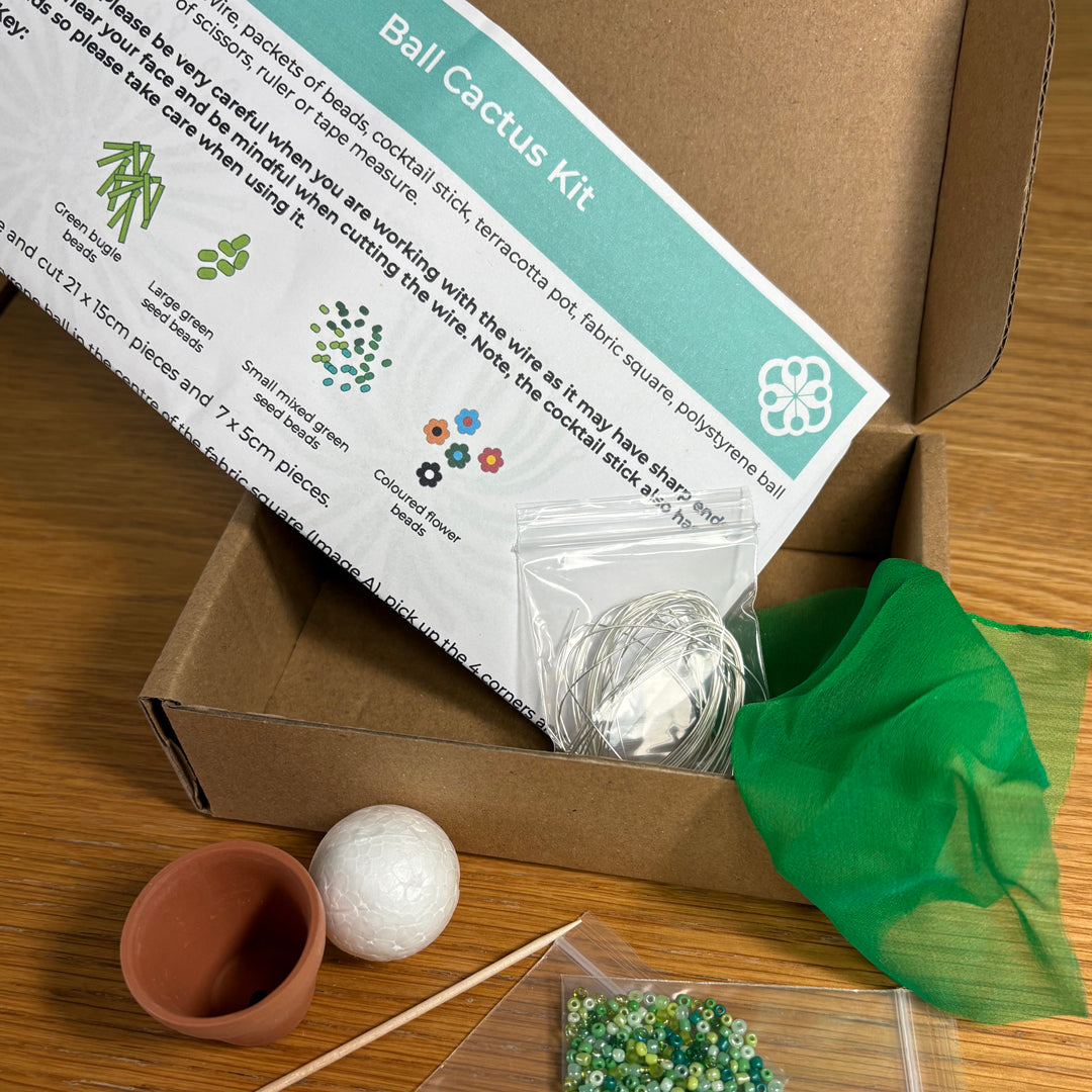 DIY Beaded Ball Cactus Kit with terracotta pot - with online workshop option.