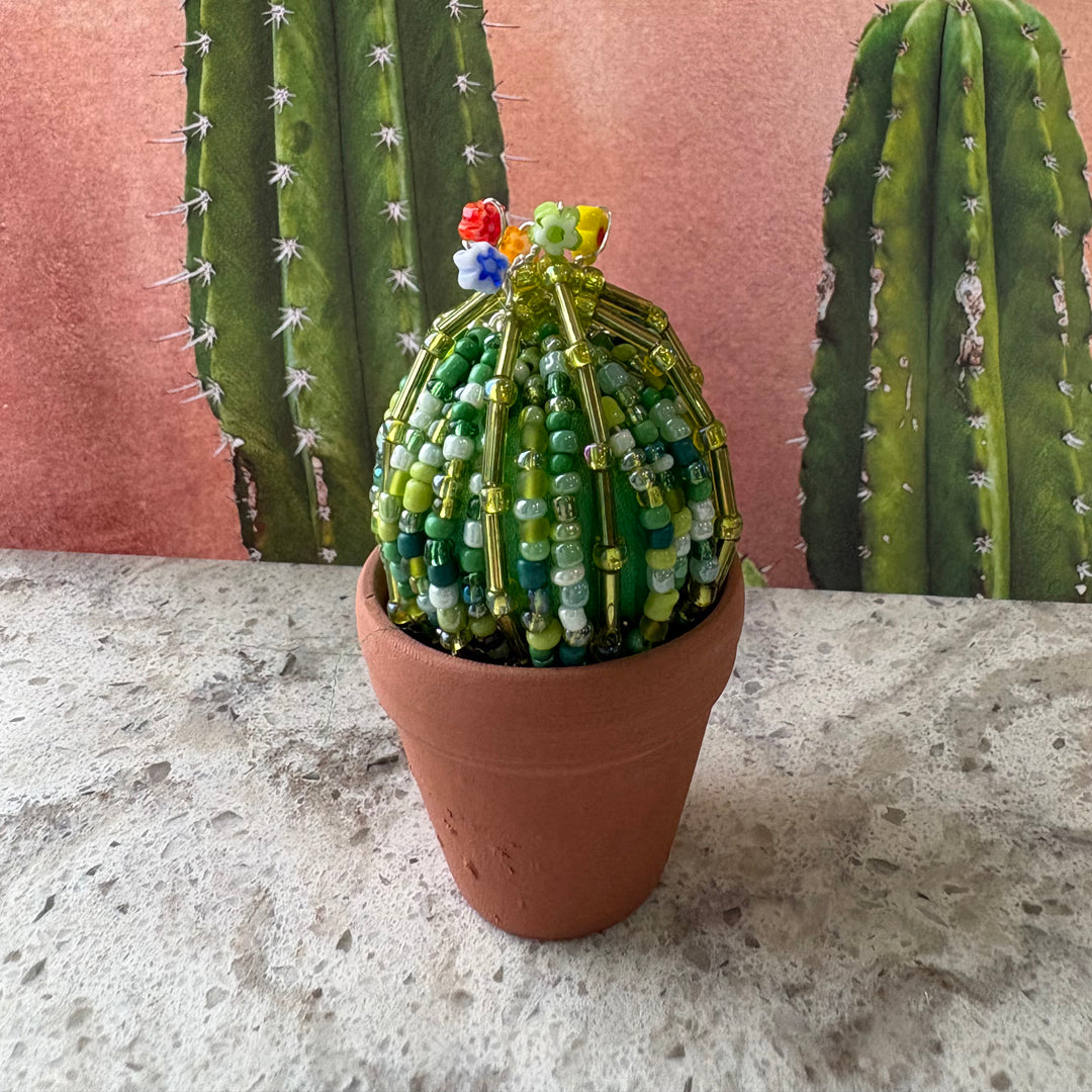 DIY Beaded Ball Cactus Kit with terracotta pot - with online workshop option.
