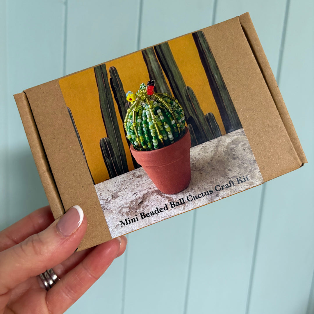 DIY Beaded Ball Cactus Kit with terracotta pot - with online workshop option.