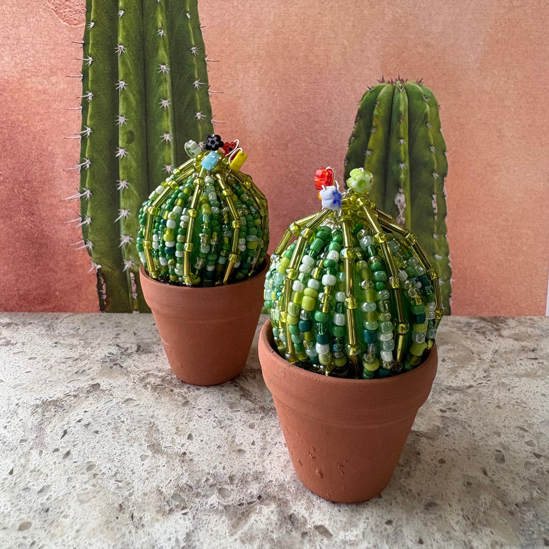 DIY Beaded Ball Cactus Kit with terracotta pot - with online workshop option.