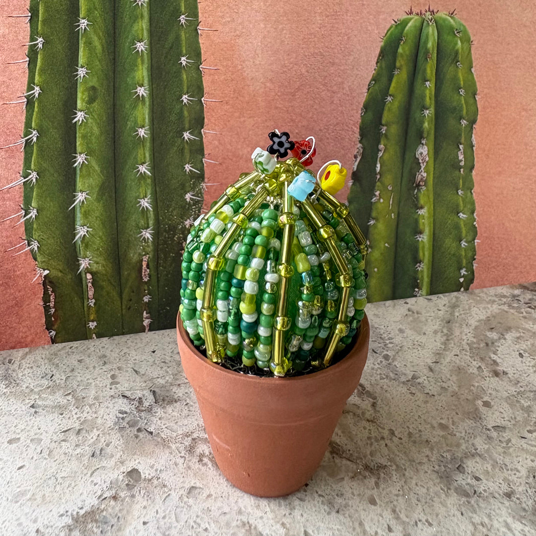 DIY Beaded Ball Cactus Kit with terracotta pot - with online workshop option.