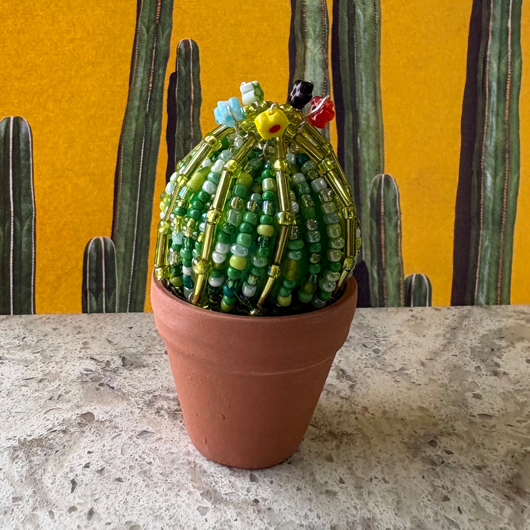 DIY Beaded Ball Cactus Kit with terracotta pot - with online workshop option.
