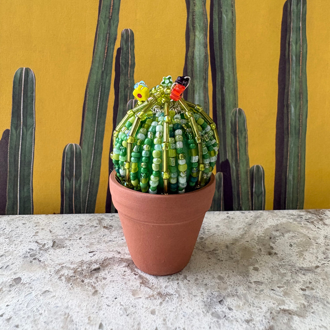 DIY Beaded Ball Cactus Kit with terracotta pot - with online workshop option.