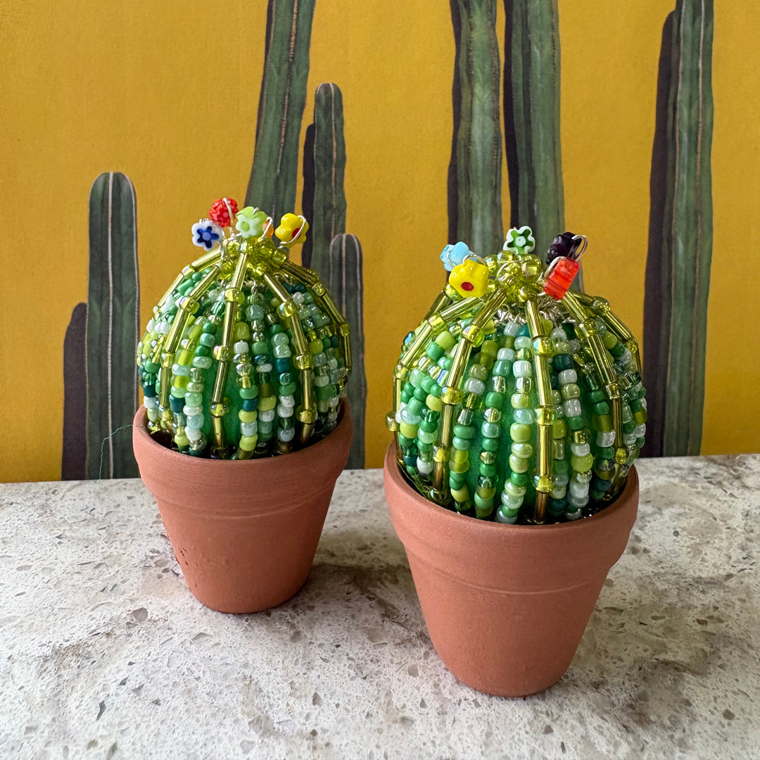 DIY Beaded Ball Cactus Kit with terracotta pot - with online workshop option.
